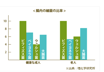 腸内の細菌の比率
