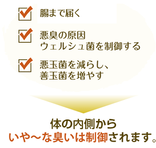 体の内側から嫌な臭いは制御されます