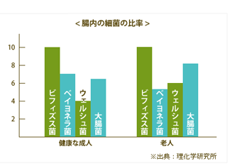 腸内の細菌の比率