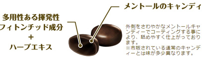 多様性ある揮発性フィトンチッド成分